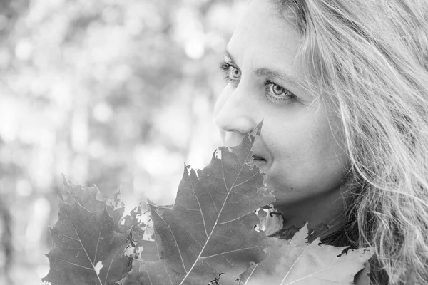 Dans la forêt d'automne, la jeune fille tient une feuille d'érable. Elle est agréable. — Photo