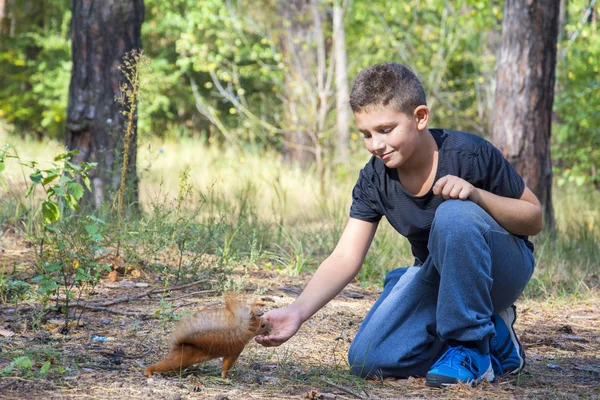 En el verano en el bosque el niño alimenta a la ardilla con nueces — Foto de Stock