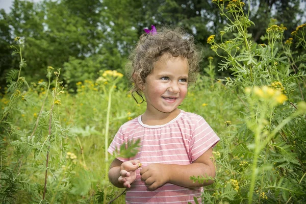 In summer in the meadow a small happy girl stands in yellow flow — Stock Photo, Image