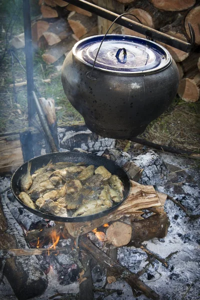 En verano, un pescado se cocina en un fuego en una plancha de cerdo, y el pescado es — Foto de Stock
