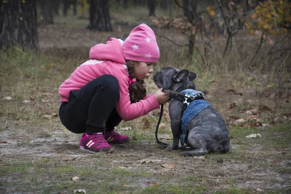 I höstskogen tränar en liten flicka en fransk bulldogg. — Stockfoto