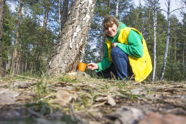 Primavera Uma Floresta Bétula Dia Ensolarado Brilhante Uma Menina Coleta — Fotografia de Stock