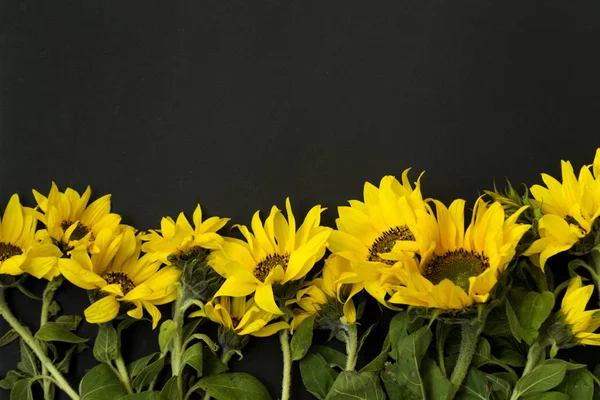 Strauß gelb blühender Sonnenblumen auf schwarzem Grund, Kreidetafel. Es gibt einen Platz für Text. — Stockfoto
