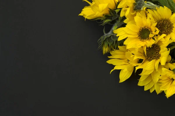 Siyah arka planda sarı çiçek açan ayçiçeği buketi, tebeşir tahtası. Metin için bir yer var.