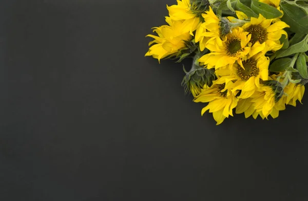 Ramillete de girasoles de flor amarilla sobre fondo negro, pizarra. Hay un lugar para el texto . — Foto de Stock