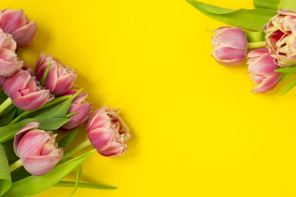 Pink tulips on a yellow background. March 8th, Happy Women\'s Day. The concept of spring. There is a place for text.