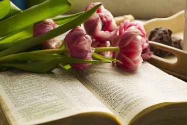 8 Mart 'ta kahvaltı, pembe laleler, bir fincan çay, bir kitap ve beton zemin üzerinde kurabiyeler. Tatil kavramı.
