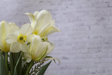Beyaz nergisler hafif tuğlalı arka planda bir bukette toplandı. Mesajlaşmak için bir yer var. Uzayı kopyala Bahar konsepti.
