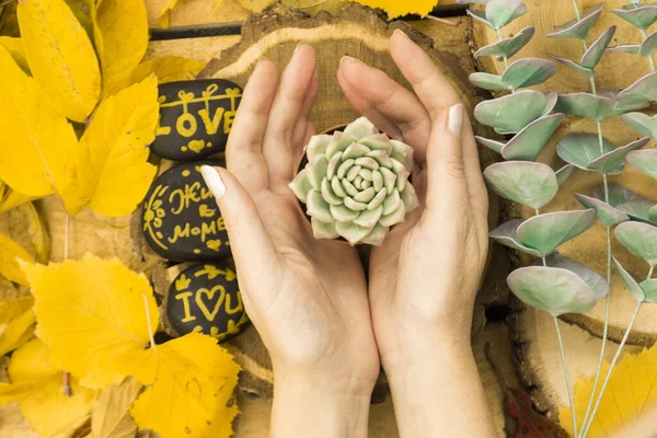 Las Hojas Otoño Yacen Los Cortes Árbol Sobre Fondo Artesanal — Foto de Stock