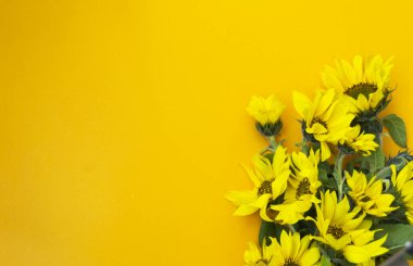 Sarı arka planda ayçiçeği olan sarı buket. Sonbahar satışı, hasat festivali ya da Şükran Günü için parlak bir pankart. Üst görünüm bileşimi, boşluğu kopyala