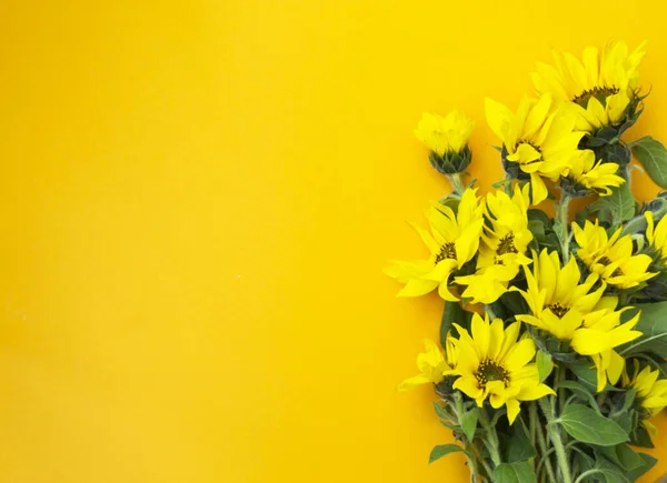 Ramo Amarillo Con Girasol Sobre Fondo Amarillo Bright Banner Para — Foto de Stock