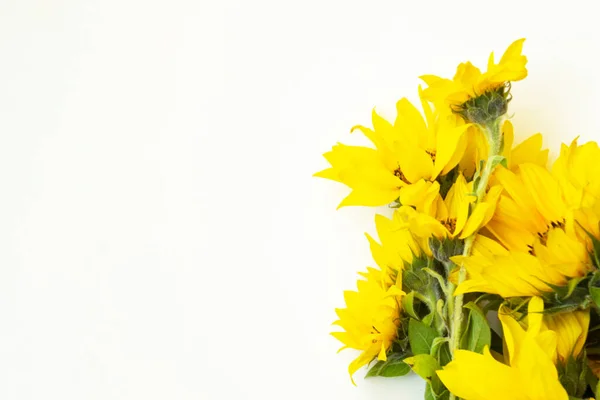 Boeket Gele Zonnebloemen Een Witte Achtergrond Een Plaats Voor Tekst — Stockfoto