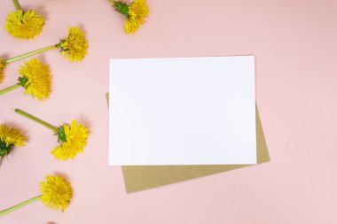 Mesaj ya da kartpostal için beyaz sayfa pembe arka planda, üstten görünüyor. Parlak sarı karahindibalar bir çelenge dokunur ve güzelce çerçevelenir. Boşluğu kopyala