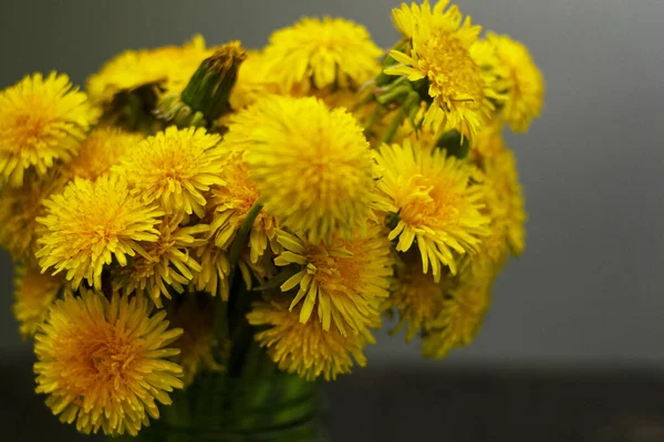 Blumenstrauß Aus Gelben Blumen Einem Grünen Glas Frühlingsgelber Löwenzahn — Stockfoto