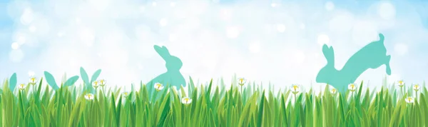 Nature background with rabbits — Stock Vector