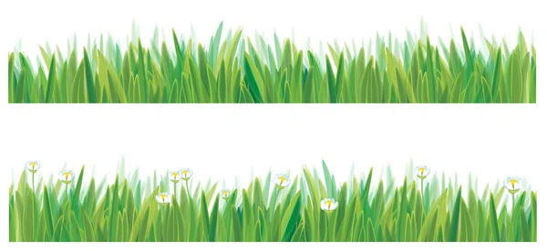 Green grass seamless border. — Stock Vector