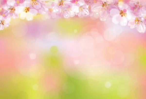 Albero fiorito di primavera — Vettoriale Stock