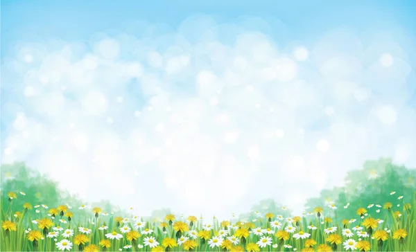 夏季草甸与 chamomiles — 图库矢量图片