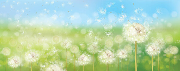 Spring nature background