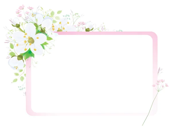 Floral frame illustratie — Stockvector