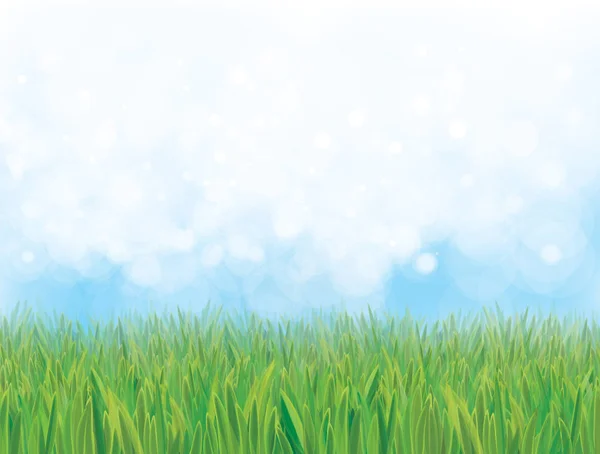 Blue sky and green grass — Stock Vector