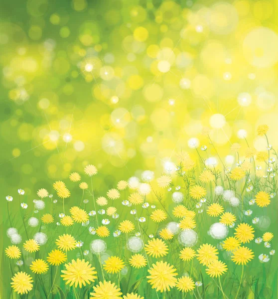 Dandelion flowers field — Stock Vector