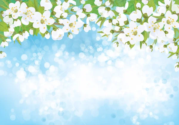 elma ağacı çiçek dalları