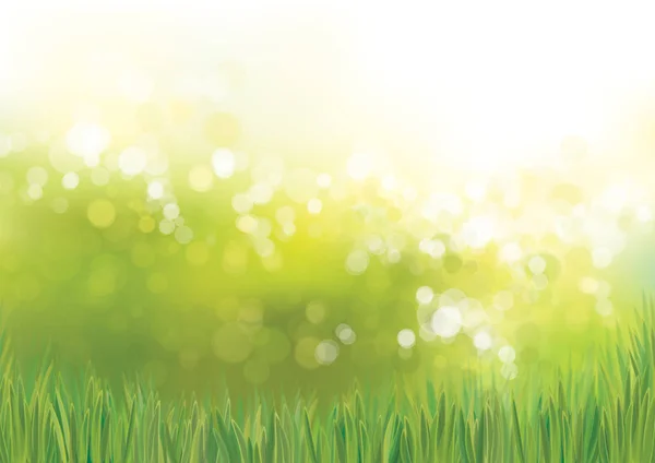 Green grass with bokeh lights — Stock Vector