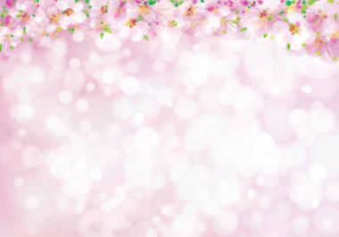 Ağaç sınırı çiçek dalları