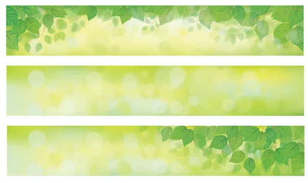 Green grass background set — Stock Vector