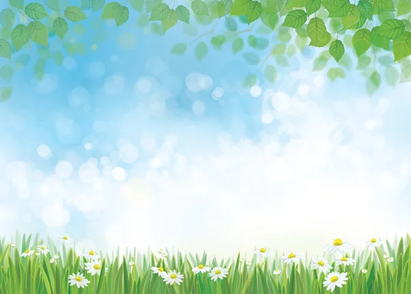 Summer nature background. — Stock Vector