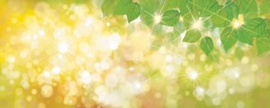 yeşil yaprakları bokeh arka plan