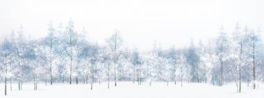 kış orman arka plan.