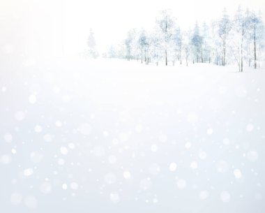 kış orman arka plan.