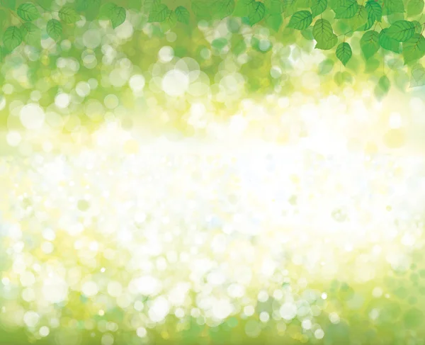 Zöld levelei tavasszal, bokeh banner. — Stock Vector