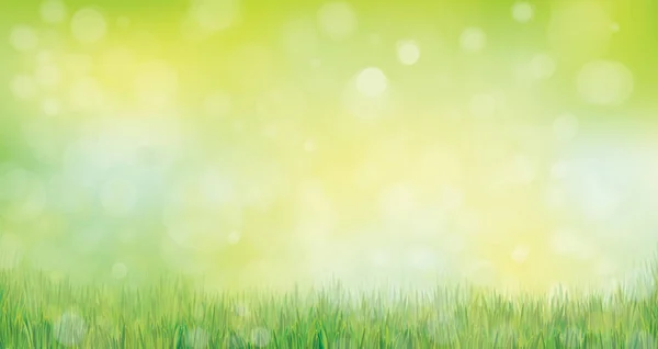 Green grass  nature background. — Stock Vector