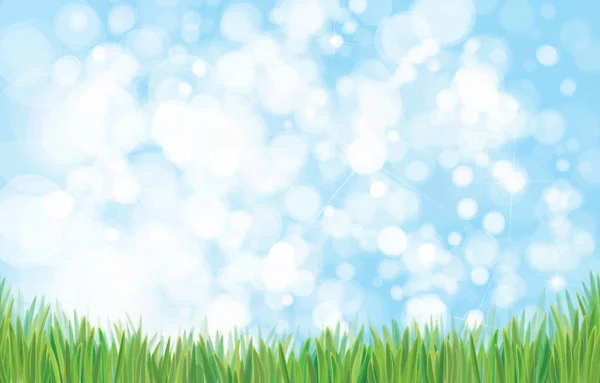 Bordure d'herbe verte et fond du ciel . — Image vectorielle