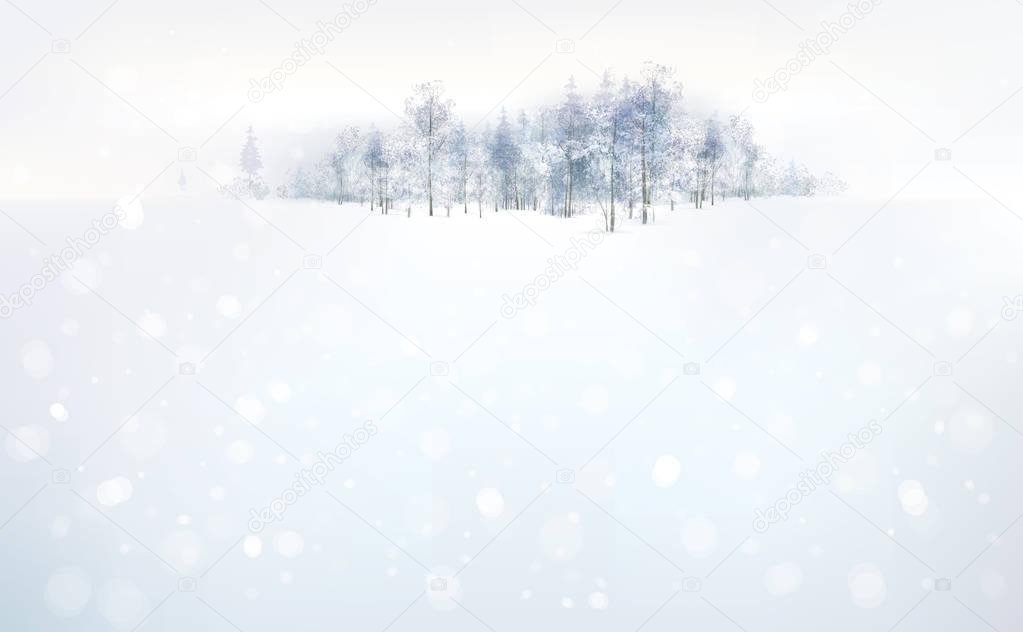 winter  forest background.