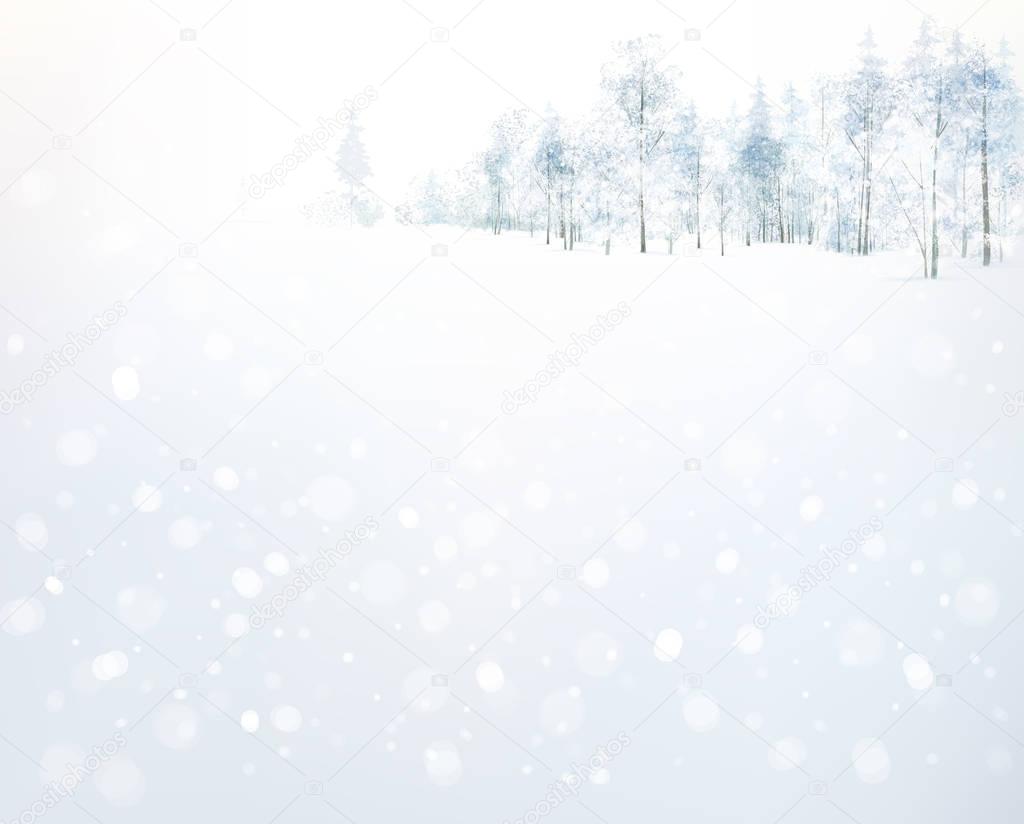 winter  forest background.