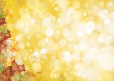 Renkli sonbahar yaprakları 