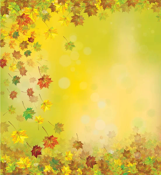 sonbahar yaprakları kenarlık