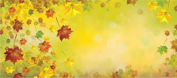 Осенние листья границы — стоковый вектор