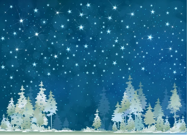 Ciel étoilé nocturne — Image vectorielle