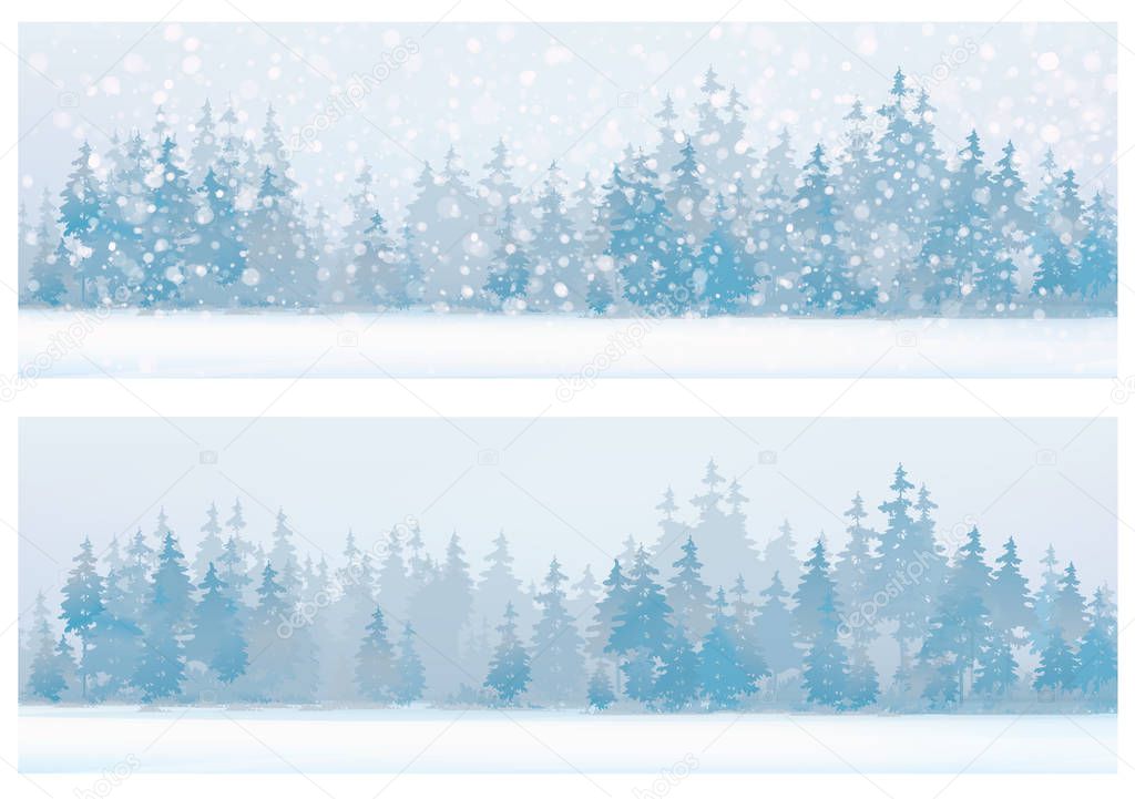 Winter snowflakes above forest