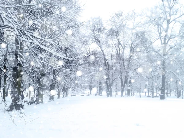 Kış kar yağışı manzara — Stok fotoğraf