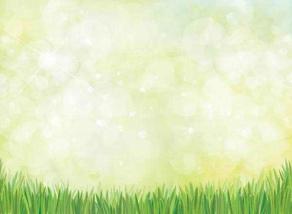 เส้นขอบหญ้าสีเขียว — ภาพเวกเตอร์สต็อก