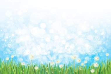 Dandelions alan mavi gökyüzü bokeh arka plan üzerinde.