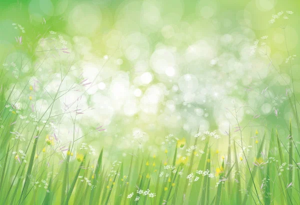Grönt Gräs Och Blommor Gränsar Bokeh Grön Bakgrund — Stock vektor