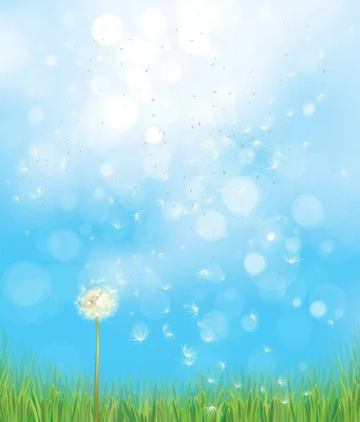 Lente Paardebloem Groene Gras Blauwe Hemelachtergrond Bokeh — Stockvector