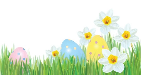 Easter Eggs Grass Daffodils Isolated White Background — Stock Vector